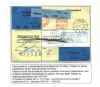 r1p8a_.jpg (77905 byte)